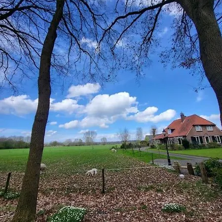 Enzerinck - Rustig, Comfortabel En Knus In Het Bos 2p Chalé