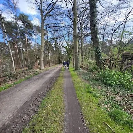 木屋 Enzerinck - Rustig, Comfortabel En Knus In Het Bos 2p *