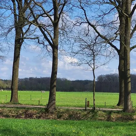 Enzerinck - Rustig, Comfortabel En Knus In Het Bos 2p 福尔登