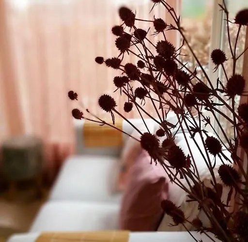 Chalet Enzerinck - Rustig, Comfortabel En Knus In Het Bos 2p