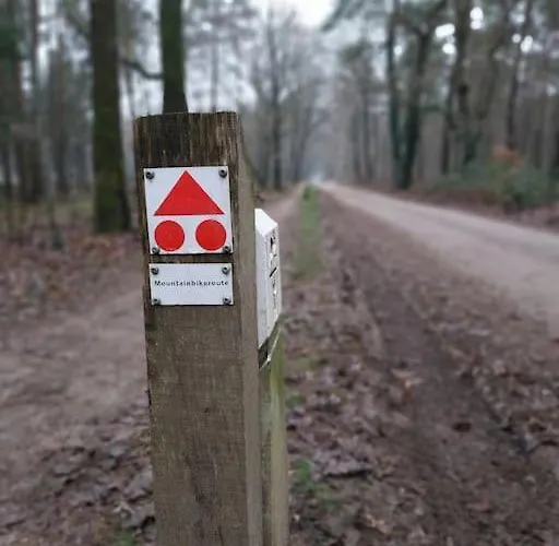 Chalet Enzerinck - Rustig, Comfortabel En Knus In Het Bos 2p *