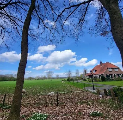 Enzerinck - Rustig, Comfortabel En Knus In Het Bos 2p 木屋