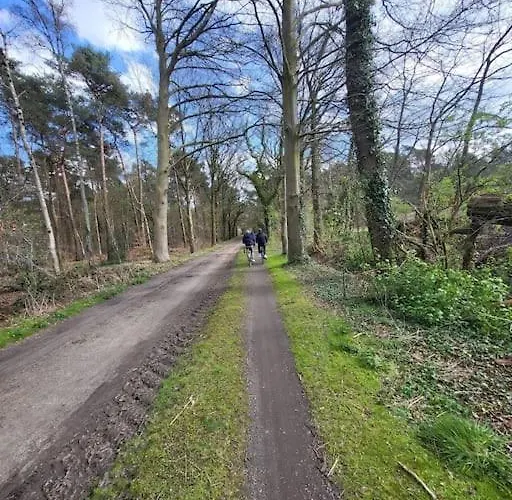 木屋 Enzerinck - Rustig, Comfortabel En Knus In Het Bos 2p *