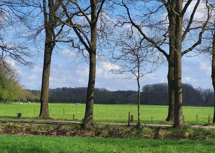 Enzerinck - Rustig, Comfortabel En Knus In Het Bos 2p 福尔登