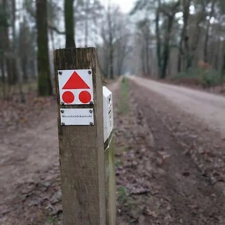 Chalet Enzerinck - Rustig, Comfortabel En Knus In Het Bos 2p *